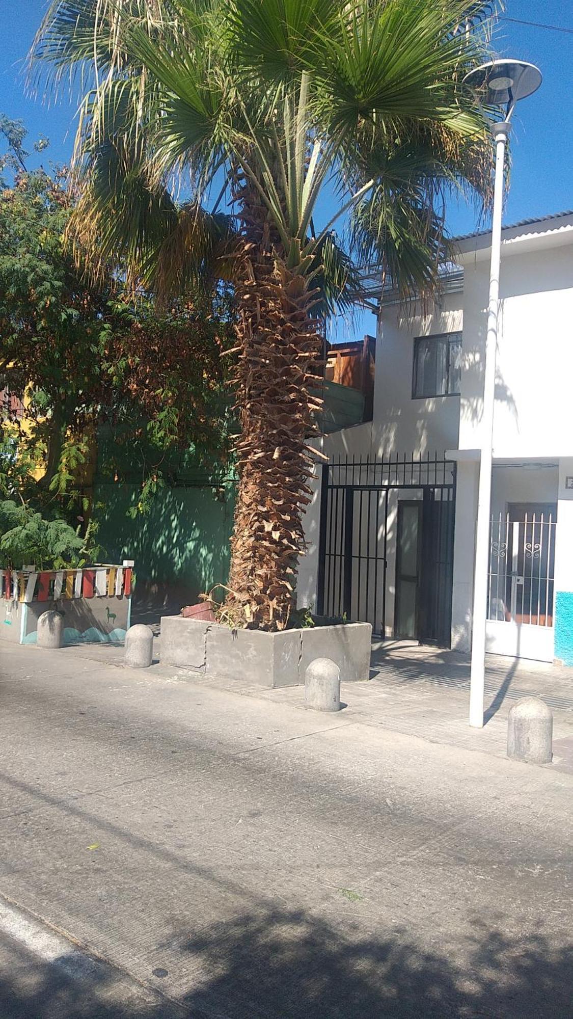 אנטופגסטה Hostal La Ruca מראה חיצוני תמונה